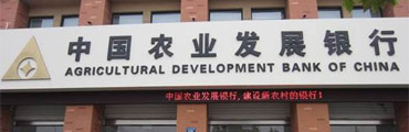 中国某发展银行